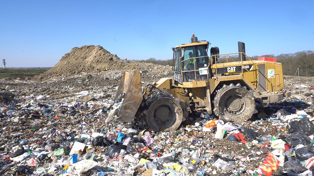 Pieds de mouton ISDND Image